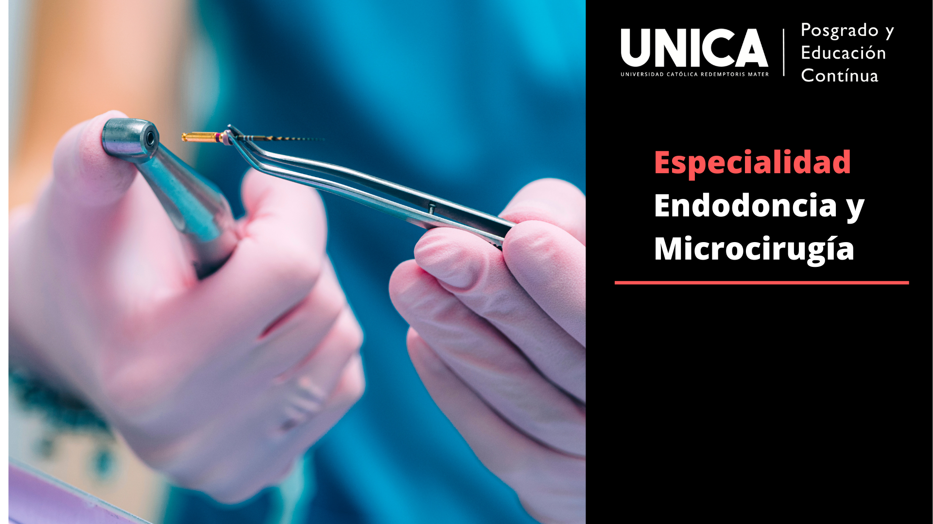 Especialidad en Endodoncia y Microcirugía