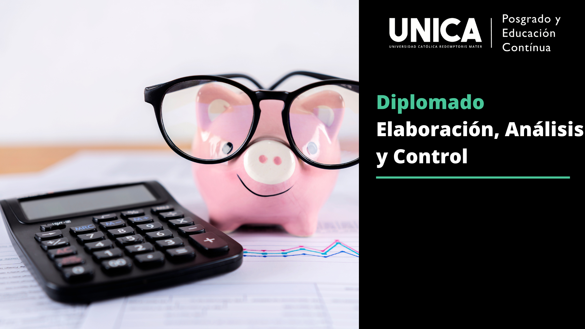 Diplomado en Presupuesto: Elaboración, Análisis y Control 